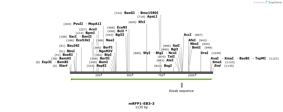 117659_map