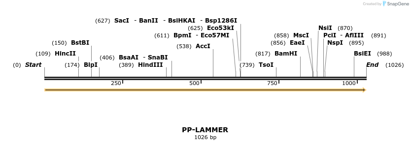 11766_map