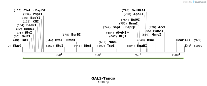 117666_map