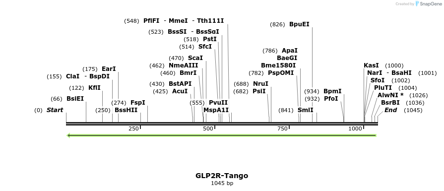 117667_map