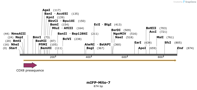 117670_map