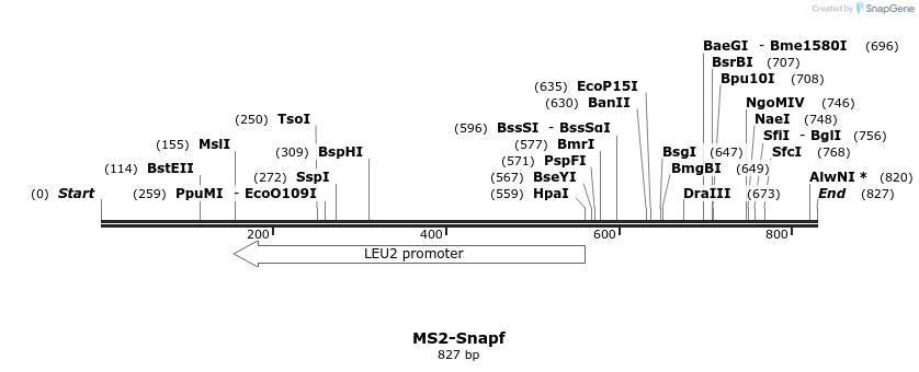 117671_map