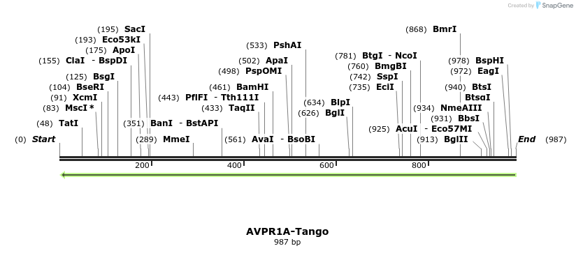 117674_map