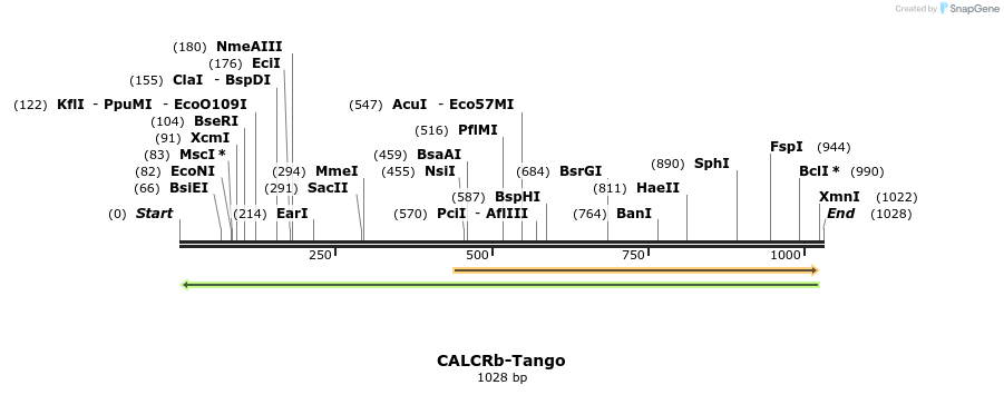 117675_map