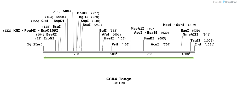 117676_map