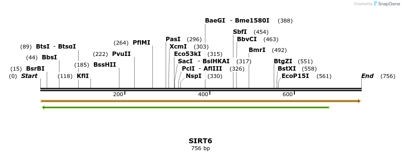 11768_map