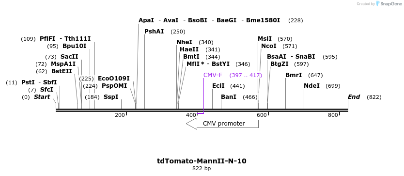 117680_map