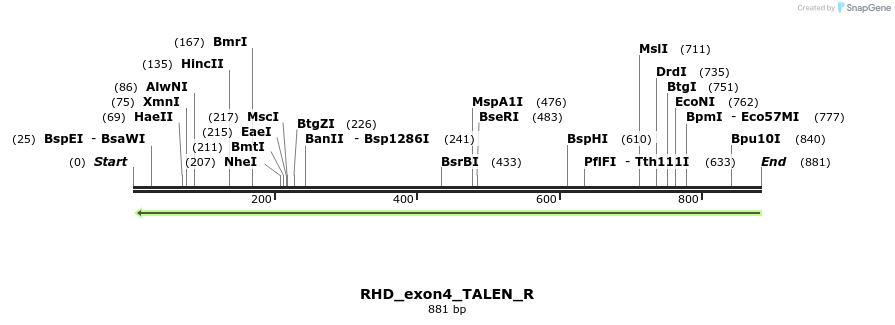 117691_map