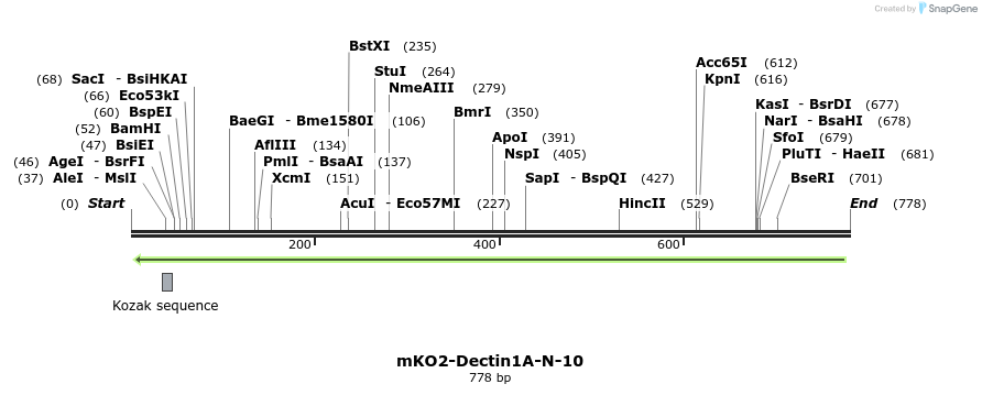 117695_map
