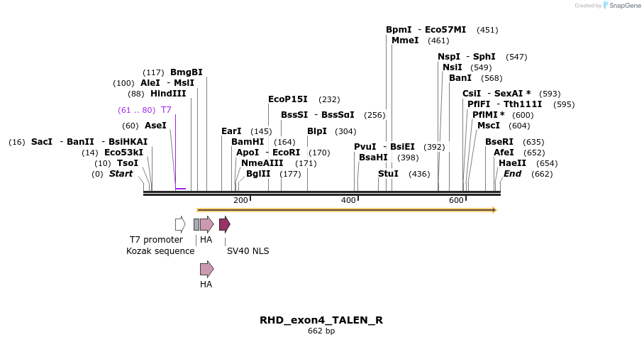 117696_map