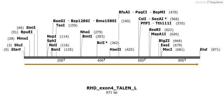 117703_map