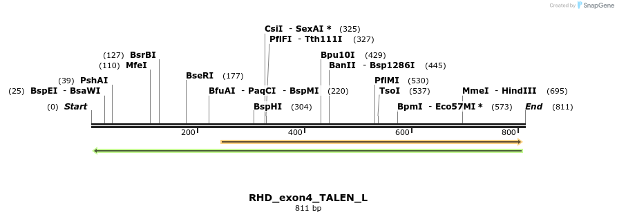 117705_map