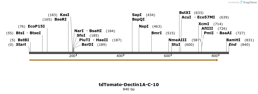 117707_map