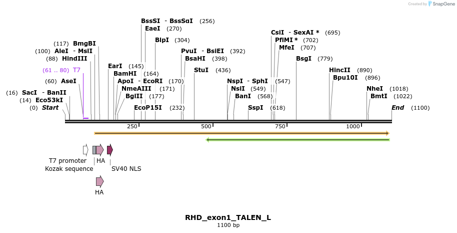 117711_map