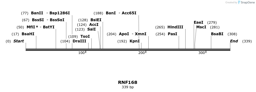 11772_map