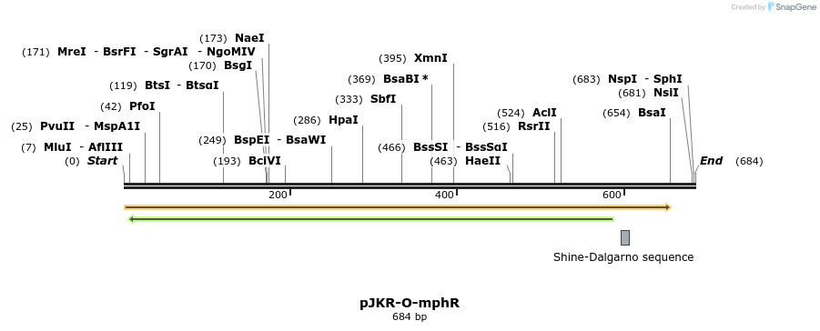 117721_map