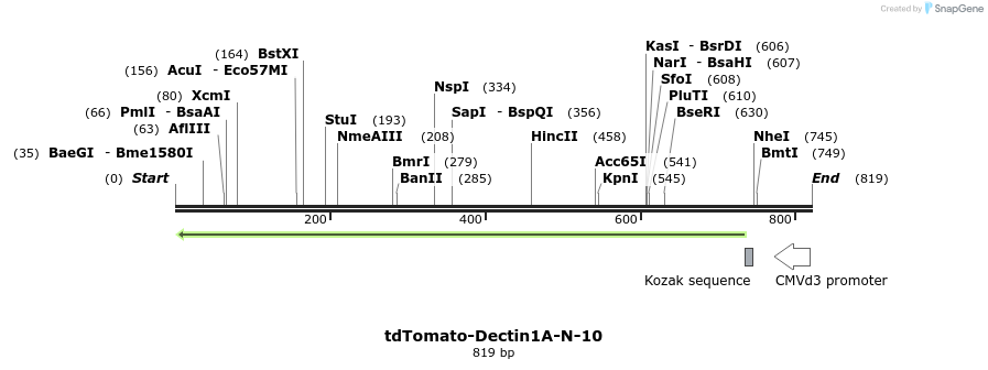 117727_map