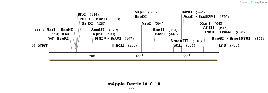 117730_map