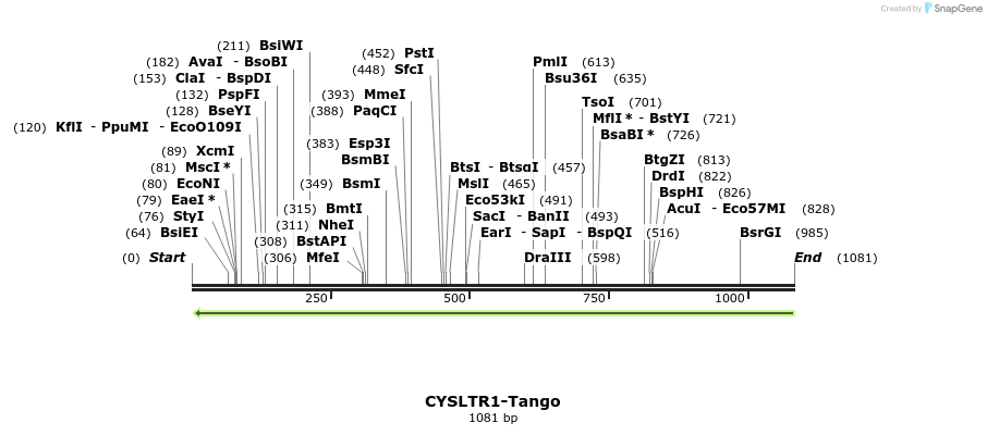117732_map