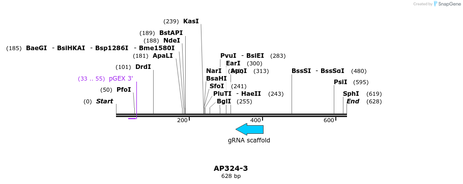 117733_map