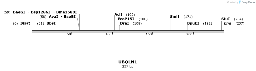 11774_map