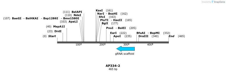 117741_map