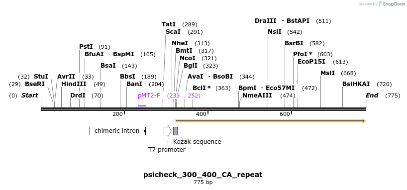 117742_map