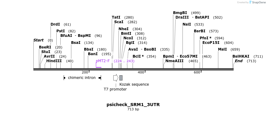 117746_map