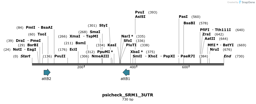 117747_map