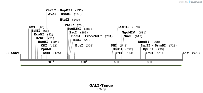 117748_map