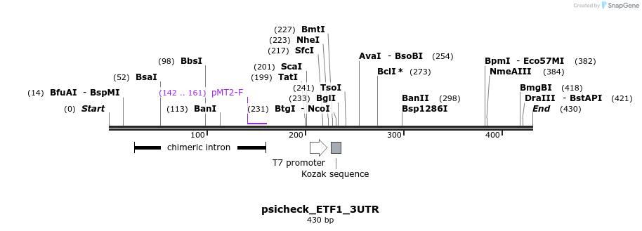 117749_map
