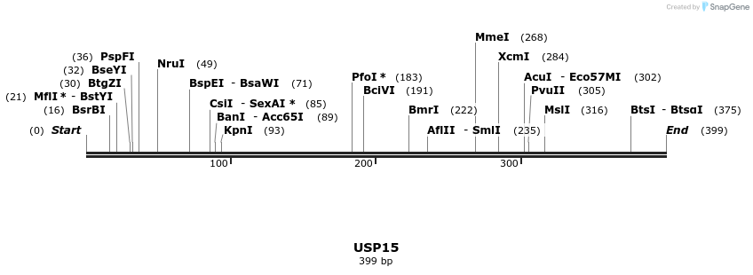 11775_map