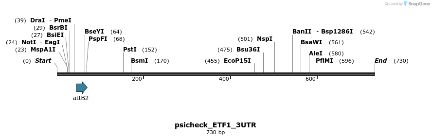 117752_map