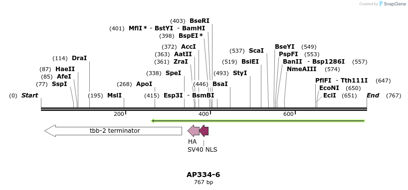 117753_map