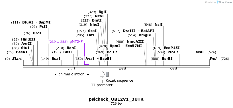 117755_map