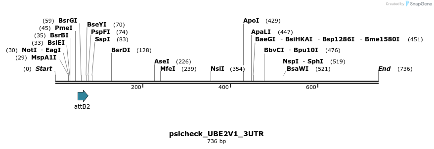 117756_map