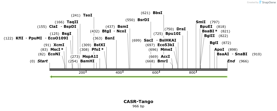 117762_map