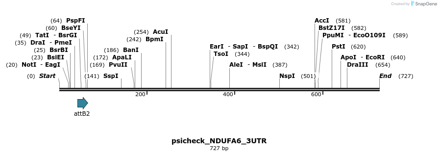 117763_map