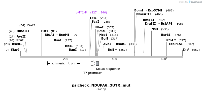 117767_map