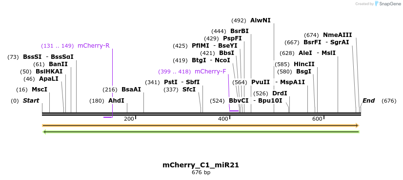 117769_map