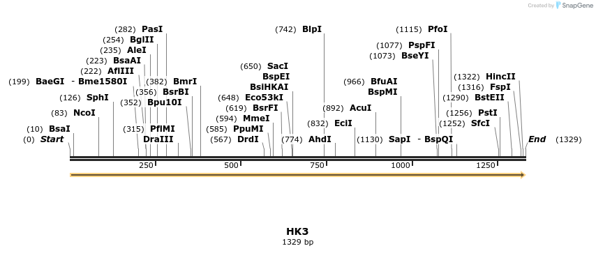 11777_map