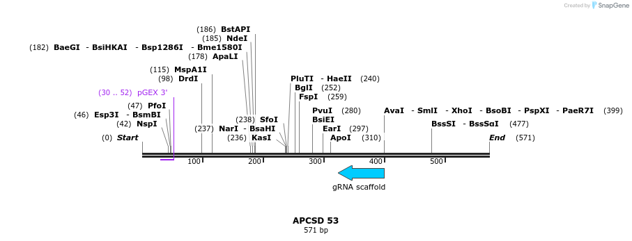 117771_map