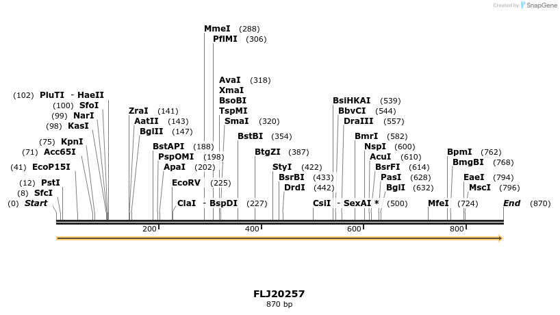 11778_map