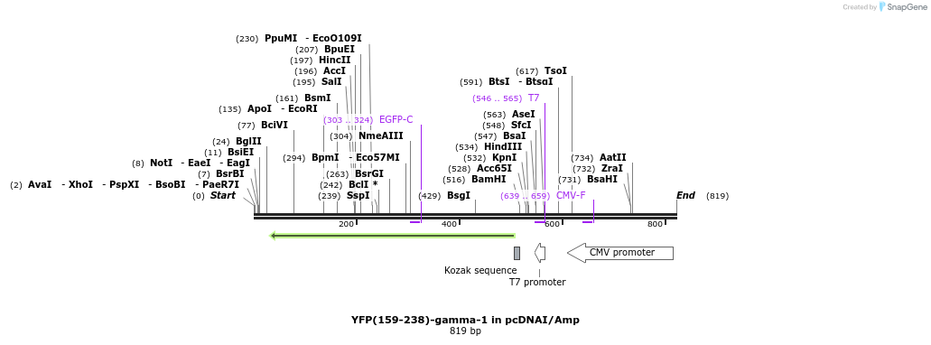 117788_map