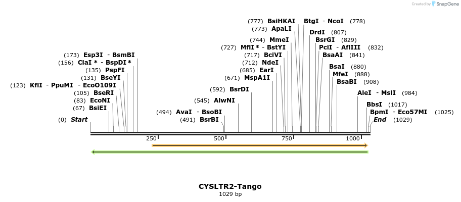 117789_map