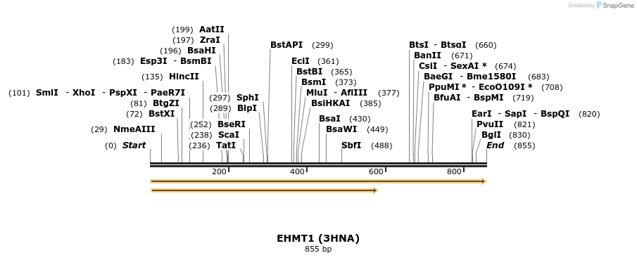 11779_map