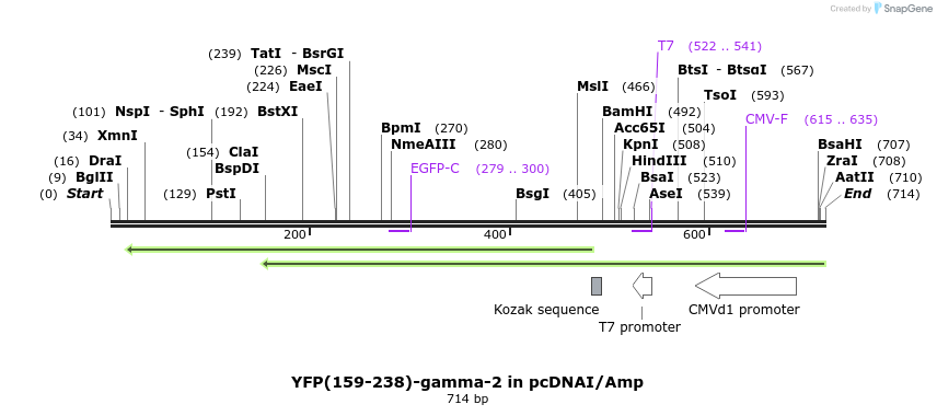 117791_map