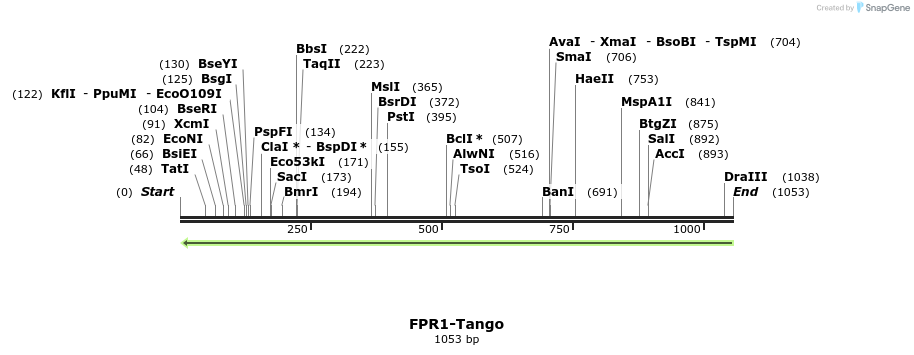 117792_map
