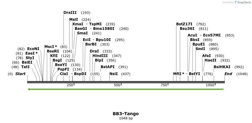 117796_map
