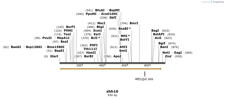 117797_map